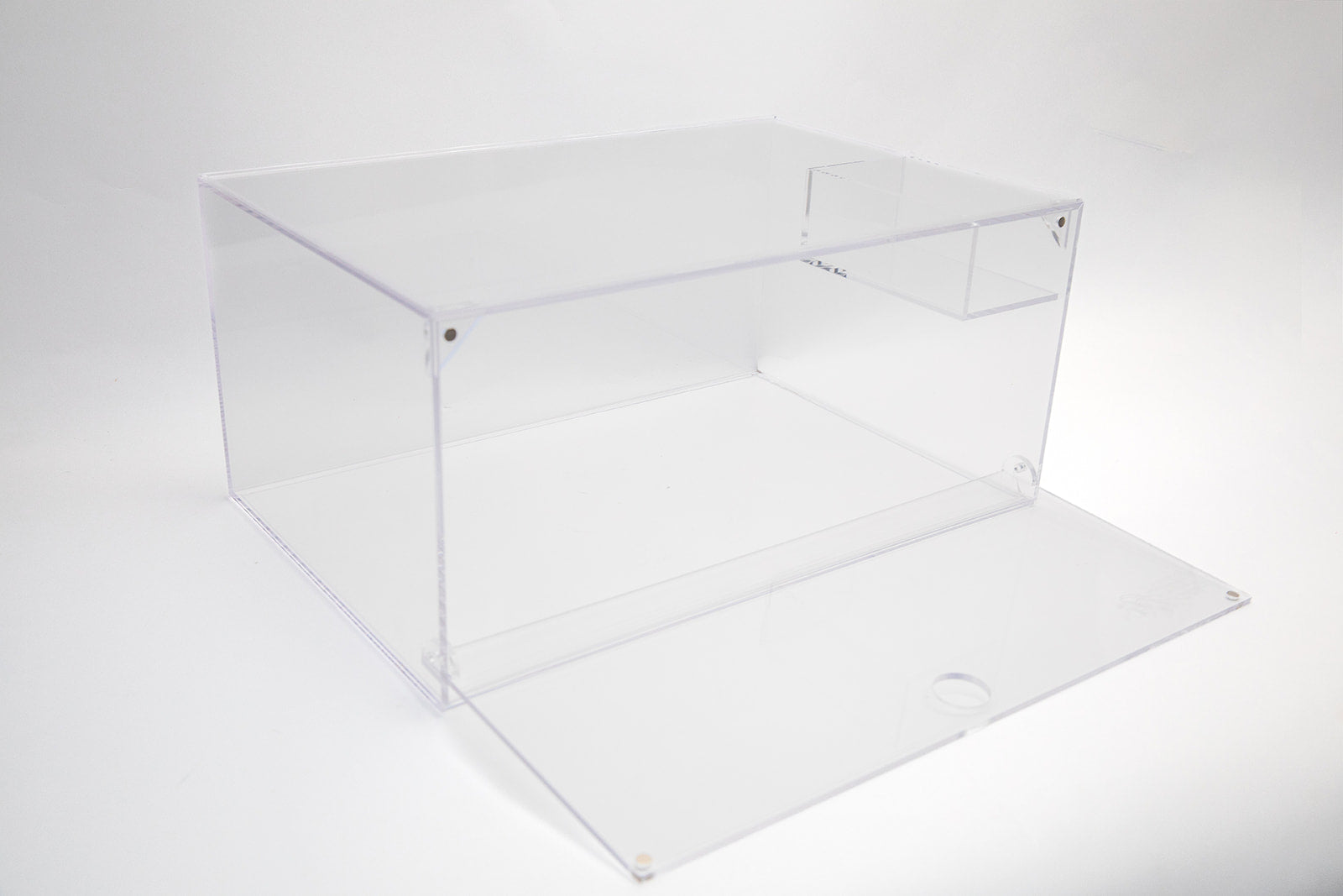 Lace Kase Sneaker Storage