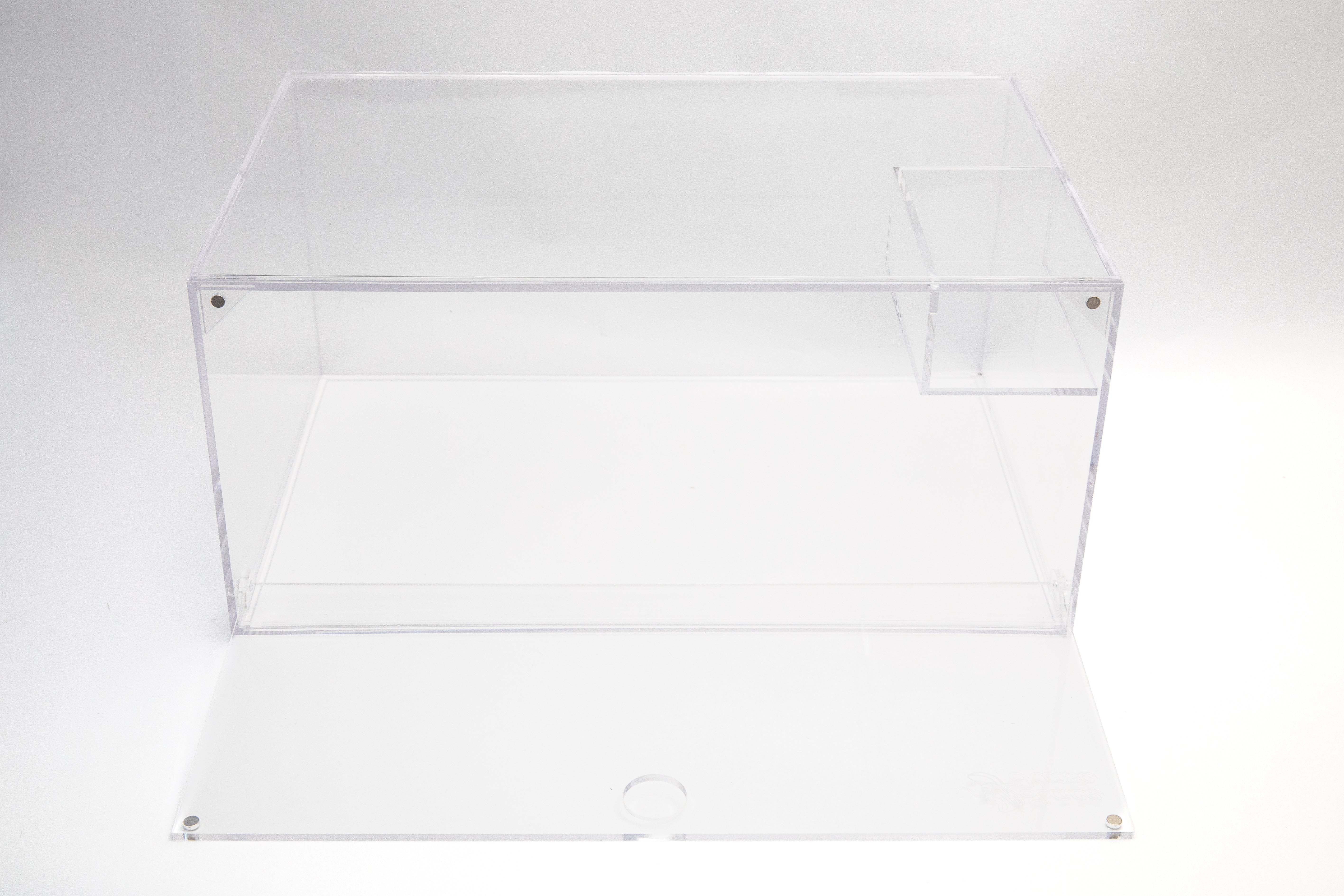 Lace Kase Sneaker Storage