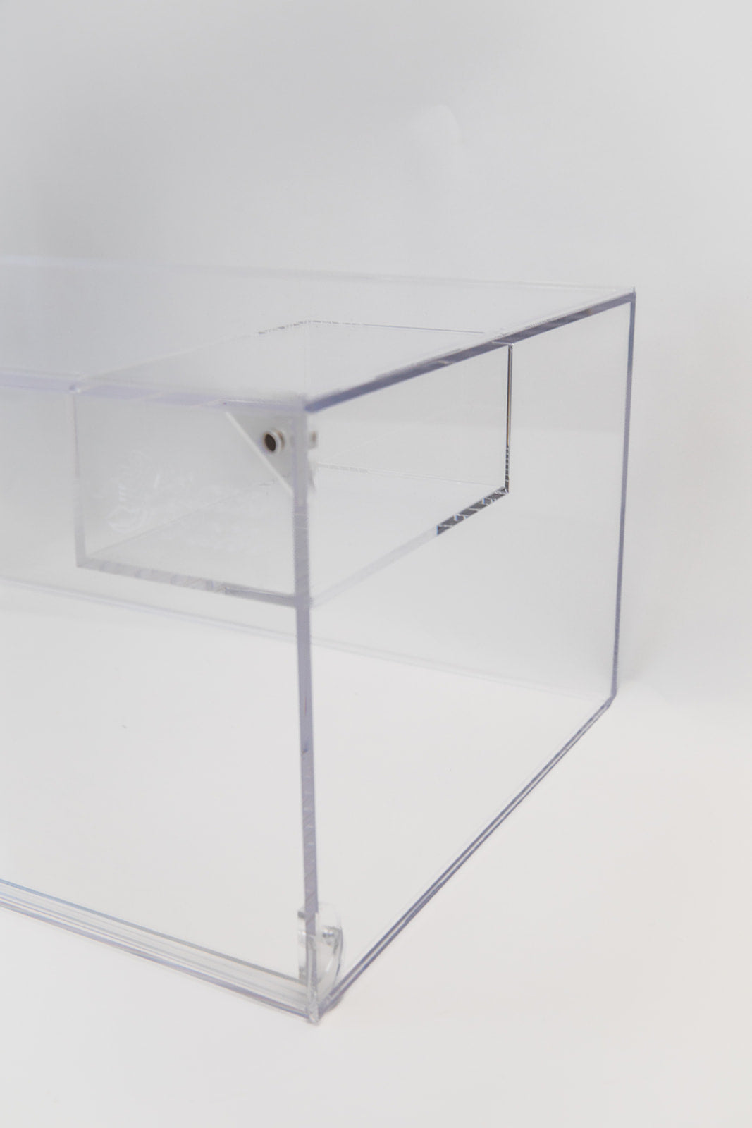 Lace Kase Sneaker Storage