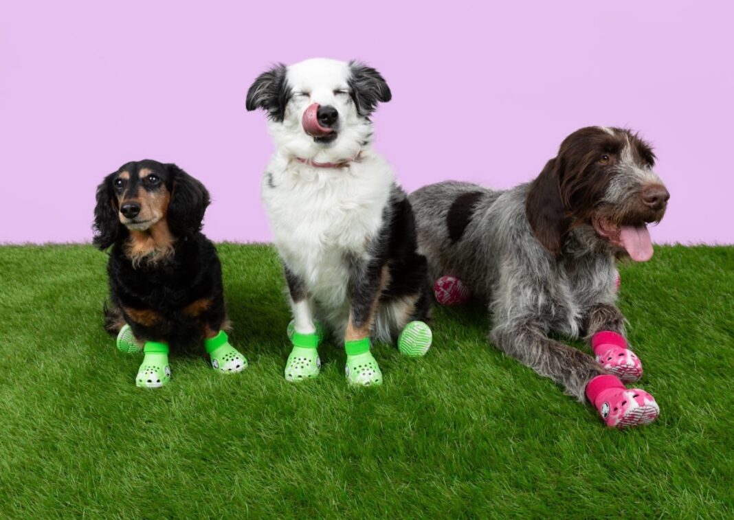 Crocs Releasing Clogs For Dogs - Releasing October 23, 2024